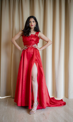 The Red Dress  -  Narayani Adukia 16