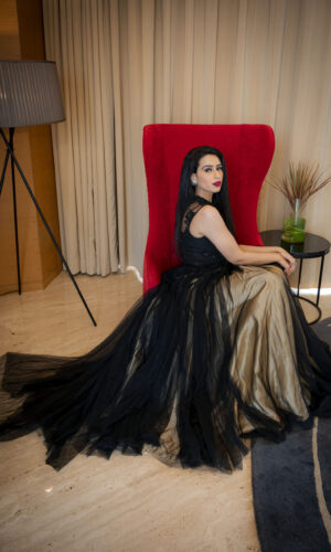 The Ball-Room Gown  -  Narayani Adukia 10