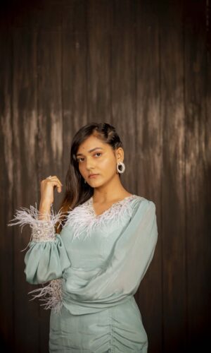 Feather Embroidered Slit Gown  -  Narayani Adukia 16