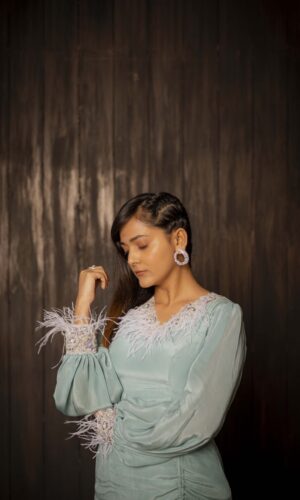 Feather Embroidered Slit Gown  -  Narayani Adukia 17