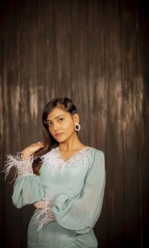 Feather Embroidered Slit Gown  -  Narayani Adukia 19