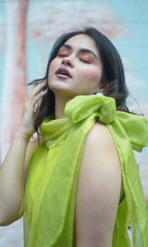 Big Bow Dress  -  Narayani Adukia 16